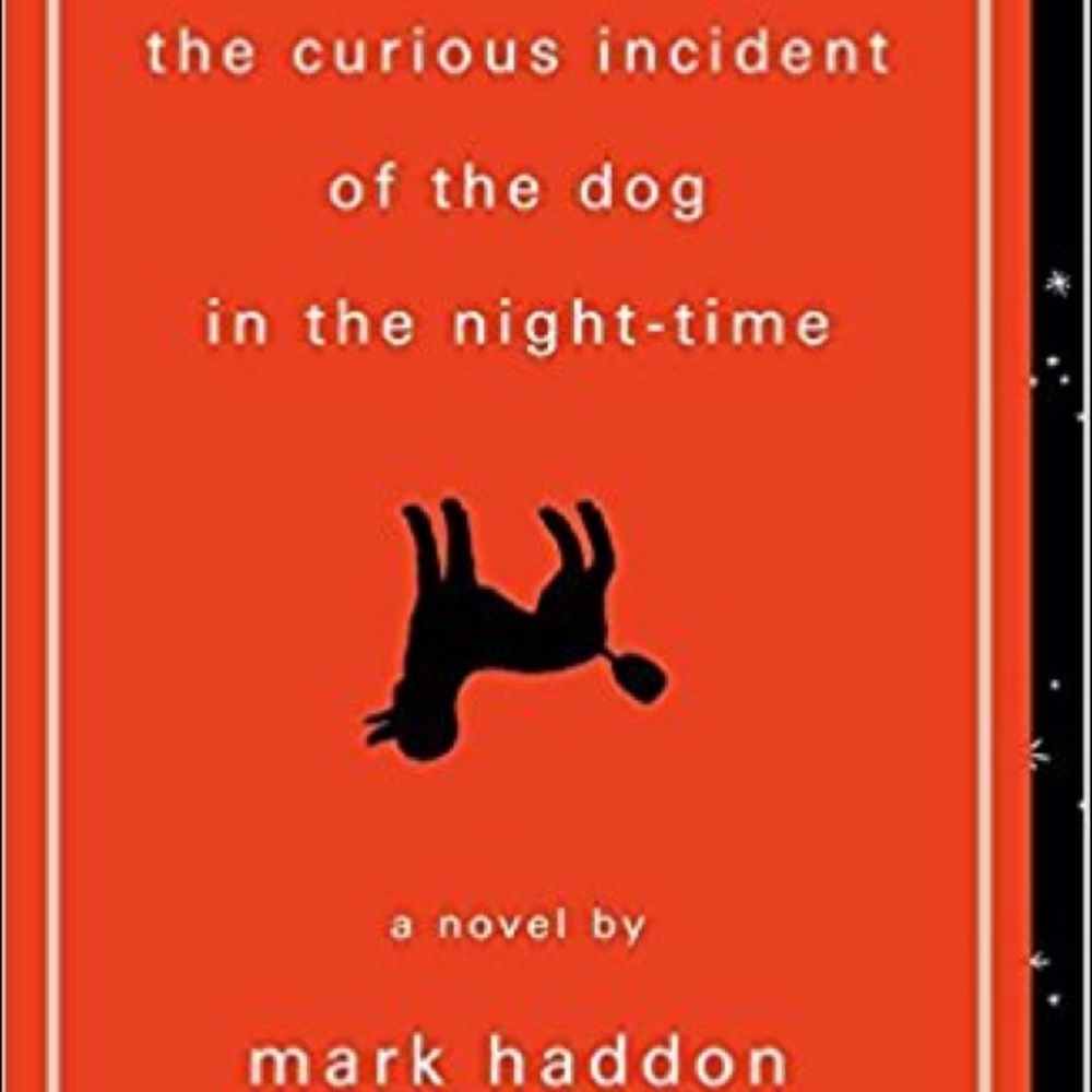 🆕Curious incident of the dog in the nighttime